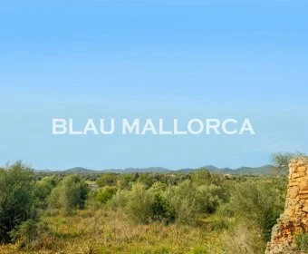 Sale Lands Sillot