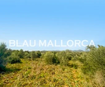 Sale Lands Sillot