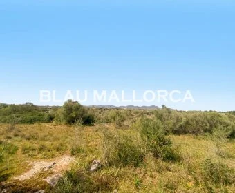 Sale Lands Sillot