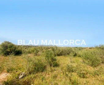 Sale Lands Sillot