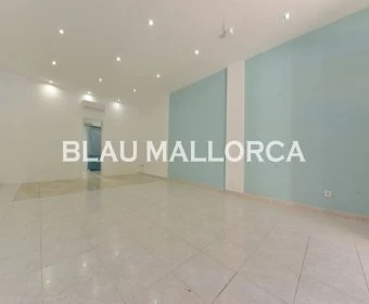 Sale Commercial premises Cala Mandia