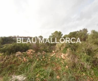 Verkauf Städtische Grundstücke Calas de Mallorca