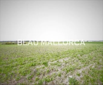 Venta Terrenos Manacor