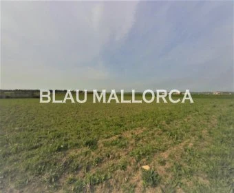 Venta Terrenos Manacor