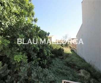 Verkauf Städtische Grundstücke Vilafranca de Bonany