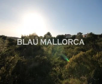 Sale Urban solar Calas de Mallorca