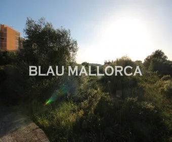 Sale Urban solar Calas de Mallorca