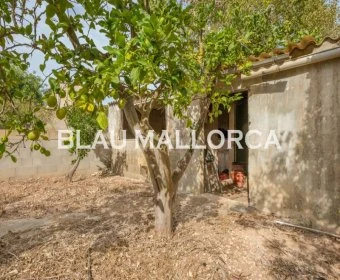 Venta Solares urbanos Son Carrio