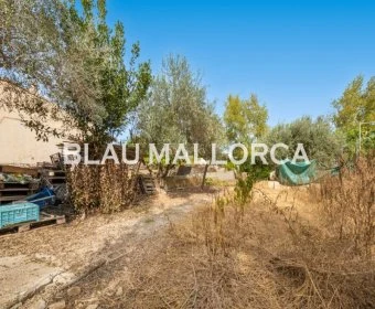 Venta Solares urbanos Son Carrio