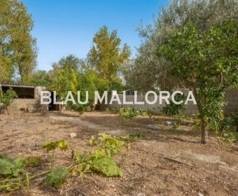 Venta Solares urbanos Son Carrio