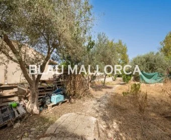 Venta Solares urbanos Son Carrio