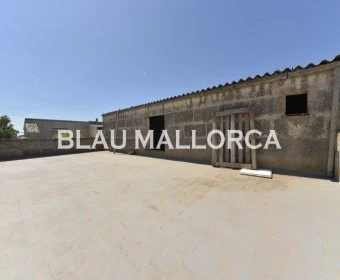 Sale Commercial premises Son Carrio