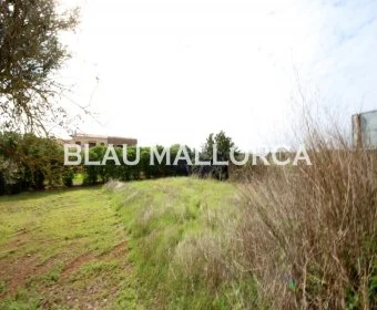 Sale Urban solar Son Carrio