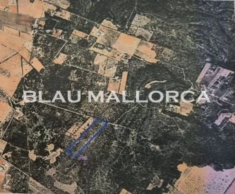 Verkauf landet Campos