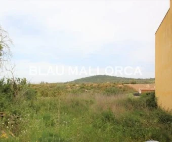 Sale Urban solar Son Carrio