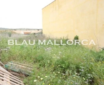 Sale Urban solar Son Carrio