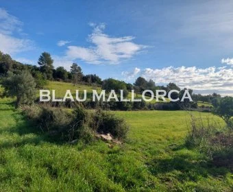 Sale Lands Son Servera