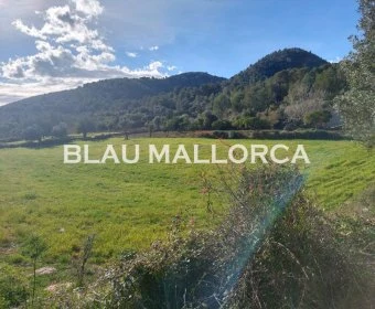 Sale Lands Son Servera