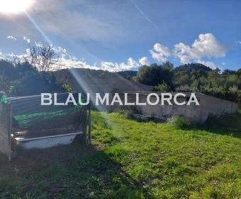 Sale Lands Son Servera