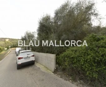 Sale Urban solar María de la salut