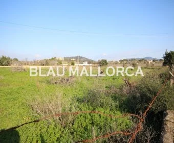 Venta Terrenos Cala Millor