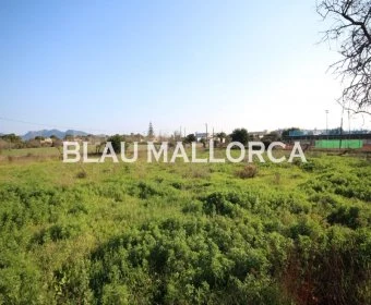 Venta Terrenos Cala Millor