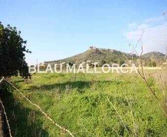 Venta Terrenos Cala Millor