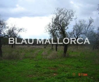 Venta Terrenos Porto Cristo