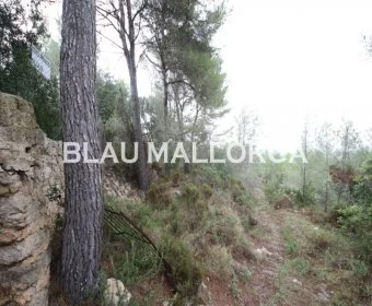 Sale Rustic houses Artá