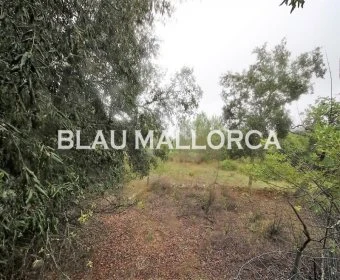 Sale Rustic houses Artá