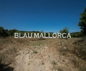 Sale Lands Son Servera