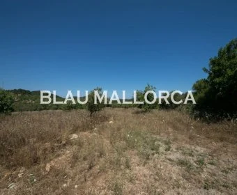 Sale Lands Son Servera