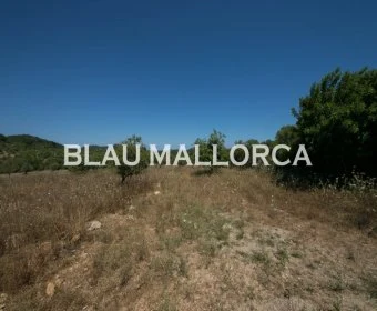 Sale Lands Son Servera