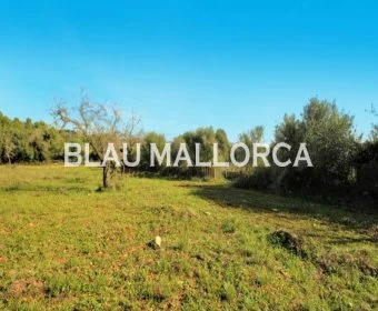 Verkauf landet Calas de Mallorca