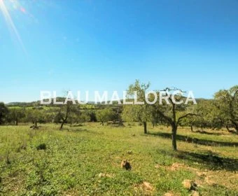 Verkauf landet Calas de Mallorca