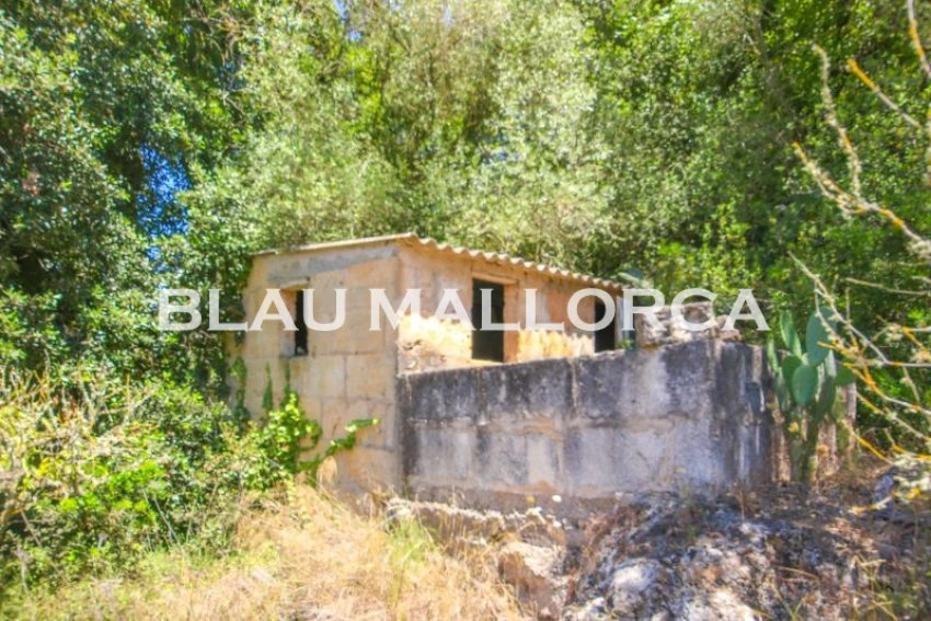 Venta Casas Rústicas Artá