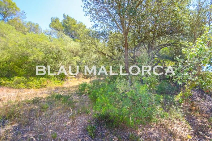 Venta Casas Rústicas Artá