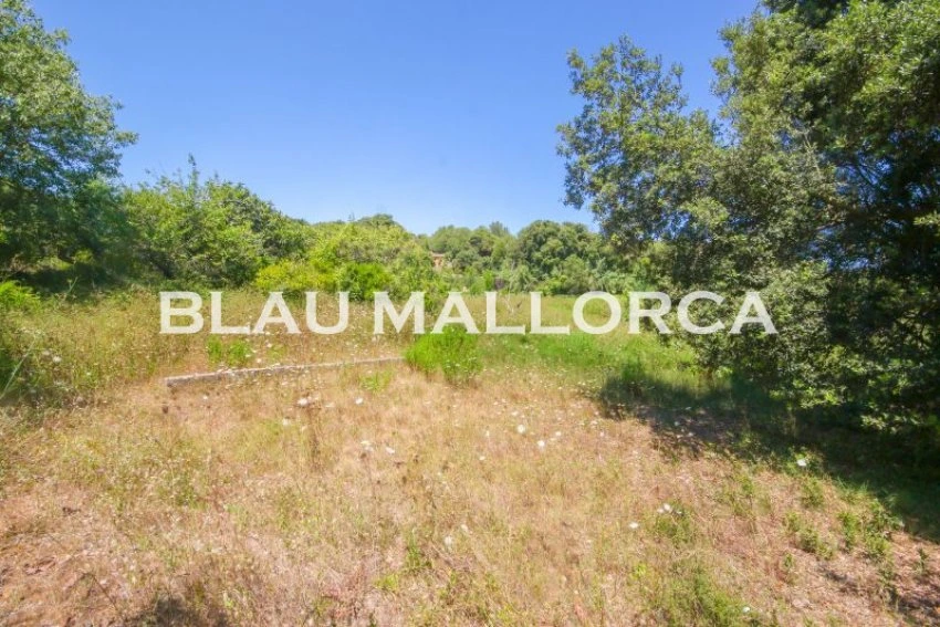 Venta Casas Rústicas Artá