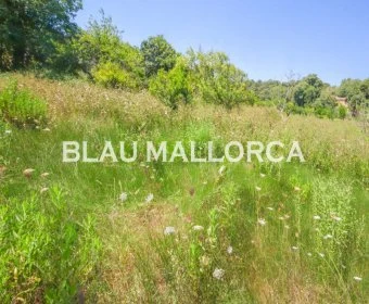 Venta Casas Rústicas Artá