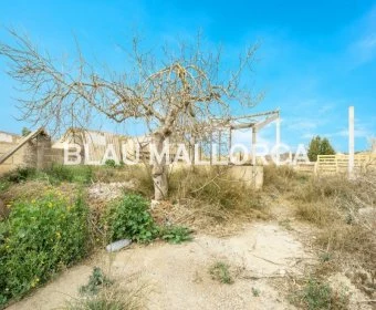 Verkauf landet Vilafranca de Bonany