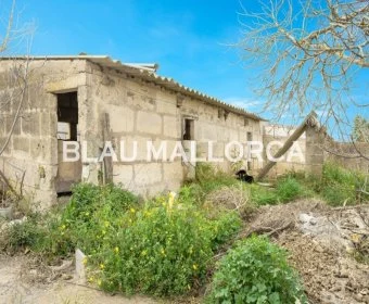 Verkauf landet Vilafranca de Bonany