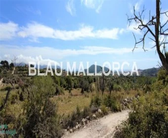 Sale Lands Son Servera