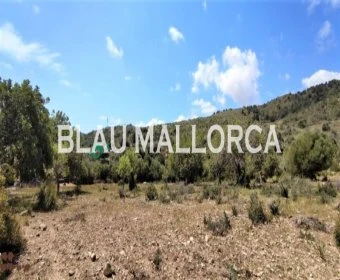 Sale Lands Son Servera