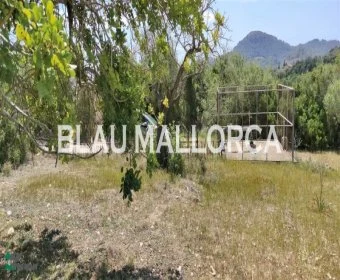 Sale Lands Son Servera