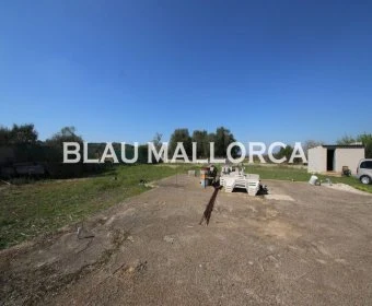 Sale Rustic houses Felanitx