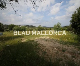 Venta Terrenos Son Servera