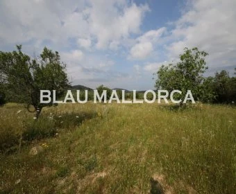 Venta Terrenos Son Servera