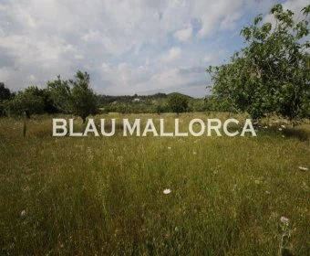 Venta Terrenos Son Servera