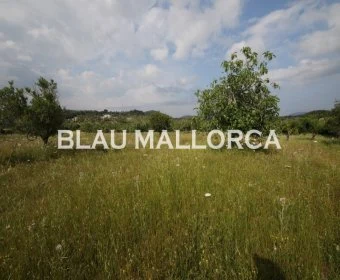 Venta Terrenos Son Servera