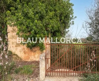 Sale Rustic houses Llubí